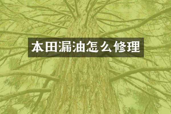 本田漏油怎么修理