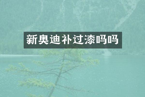 新奥迪补过漆吗吗