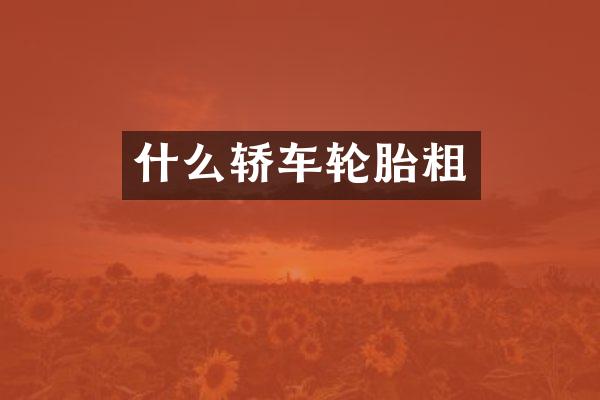什么轿车轮胎粗