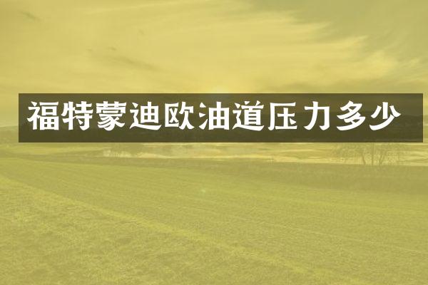福特蒙迪欧油道压力多少