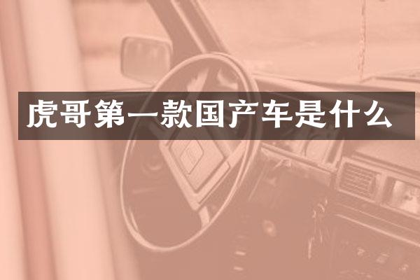 虎哥第一款国产车是什么