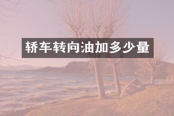 轿车转向油加多少量