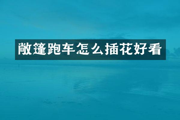 敞篷跑车怎么插花好看