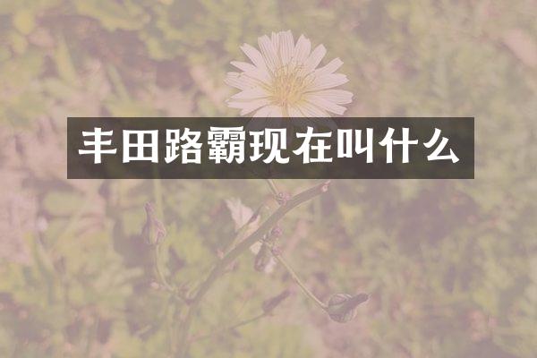 丰田路霸现在叫什么
