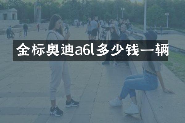 金标奥迪a6l多少钱一辆