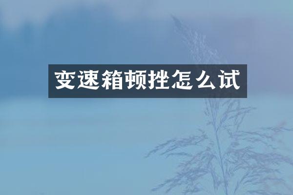 变速箱顿挫怎么试