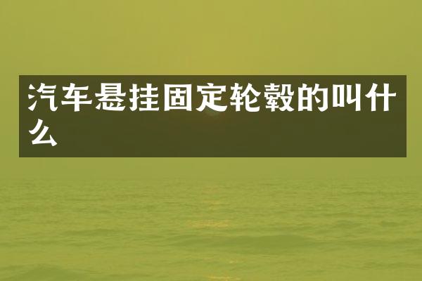 汽车悬挂固定轮毂的叫什么