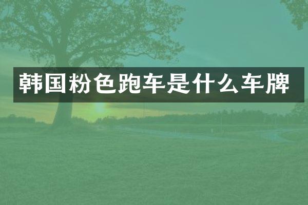 韩国粉色跑车是什么车牌
