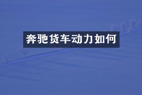 奔驰货车动力如何