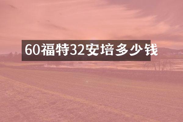 60福特32安培多少钱