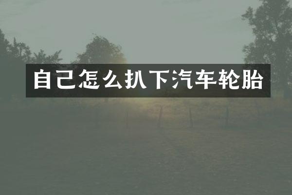 自己怎么扒下汽车轮胎