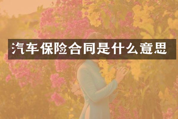 汽车保险合同是什么意思