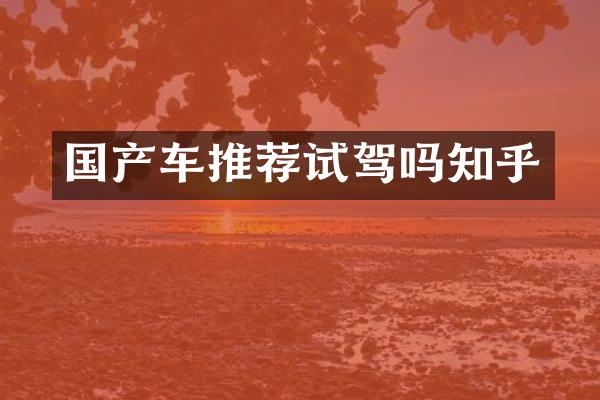 国产车推荐试驾吗知乎