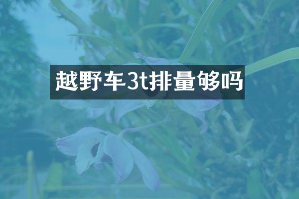 越野车3t排量够吗
