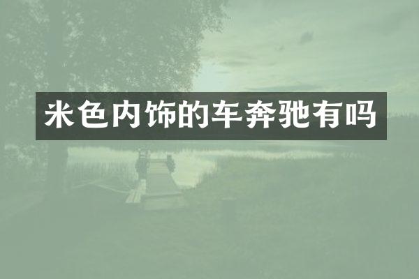 米色内饰的车奔驰有吗