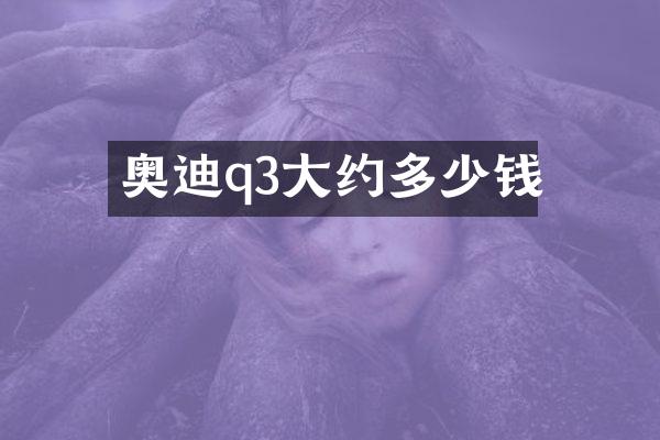 奥迪q3大约多少钱