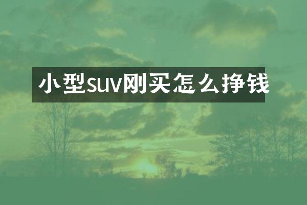 小型suv刚买怎么挣钱