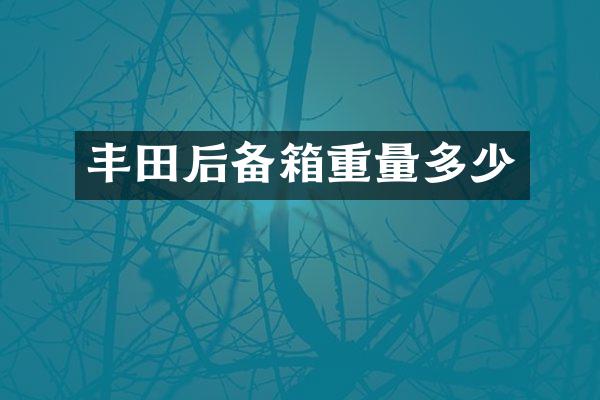 丰田后备箱重量多少