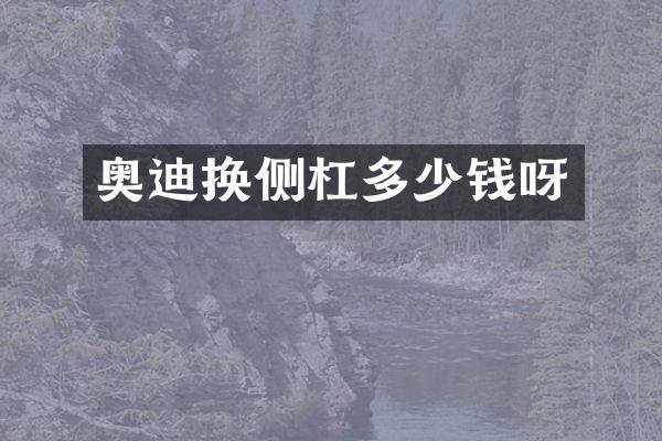 奥迪换侧杠多少钱呀
