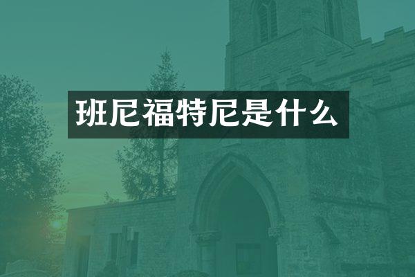 班尼福特尼是什么