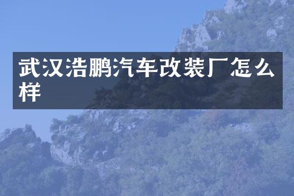 武汉浩鹏汽车改装厂怎么样
