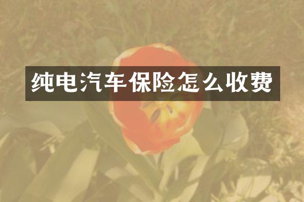 纯电汽车保险怎么收费