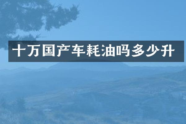 十万国产车耗油吗多少升
