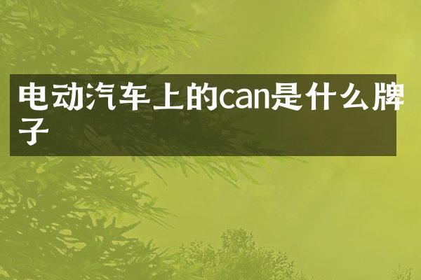 电动汽车上的can是什么牌子