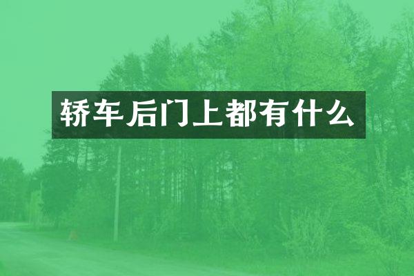 轿车后门上都有什么