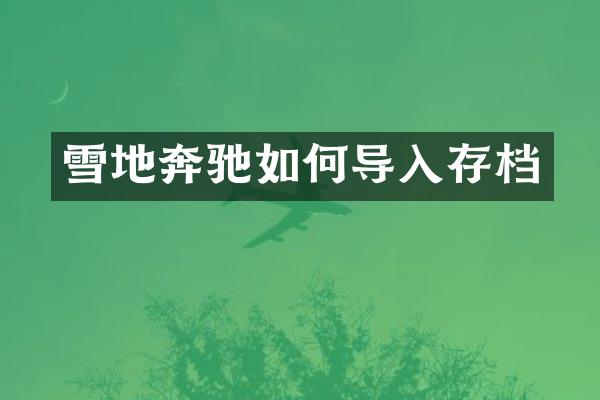 雪地奔驰如何导入存档