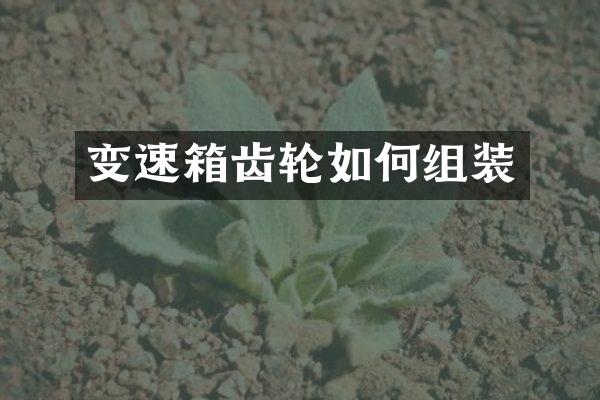 变速箱齿轮如何组装