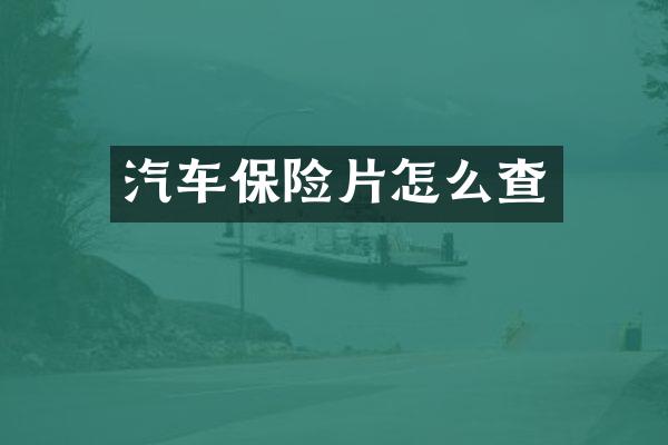 汽车保险片怎么查
