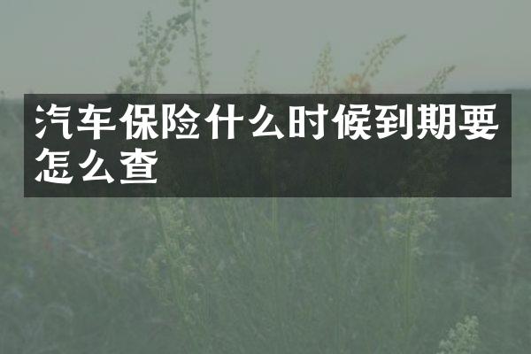 汽车保险什么时候到期要怎么查