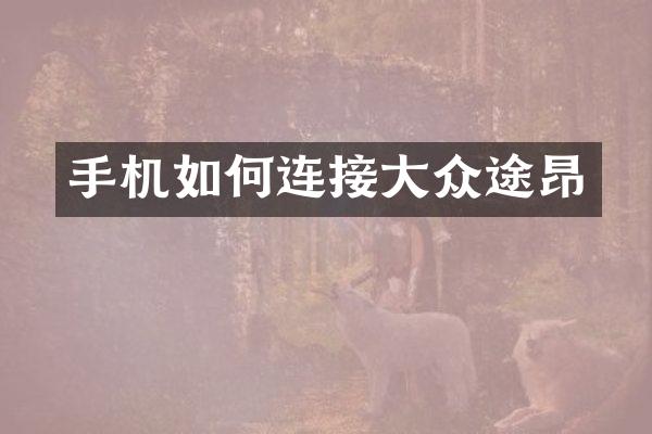 手机如何连接大众途昂
