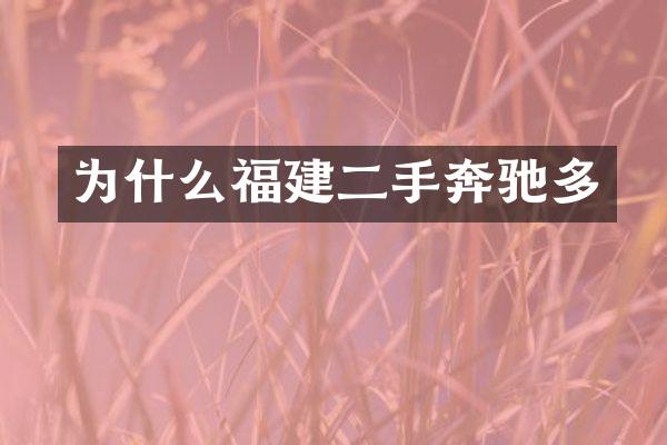 为什么福建二手奔驰多