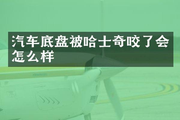 汽车底盘被哈士奇咬了会怎么样