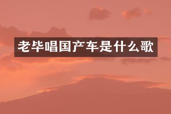 老毕唱国产车是什么歌