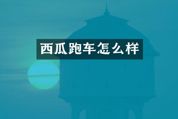 西瓜跑车怎么样