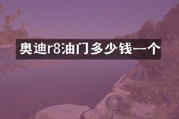 奥迪r8油门多少钱一个