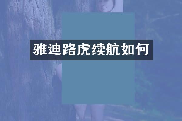 雅迪路虎续航如何