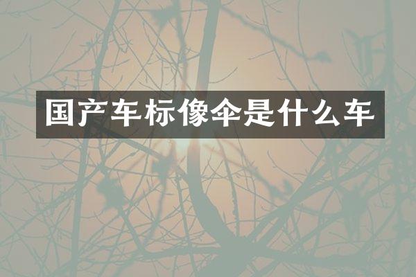 国产车标像伞是什么车