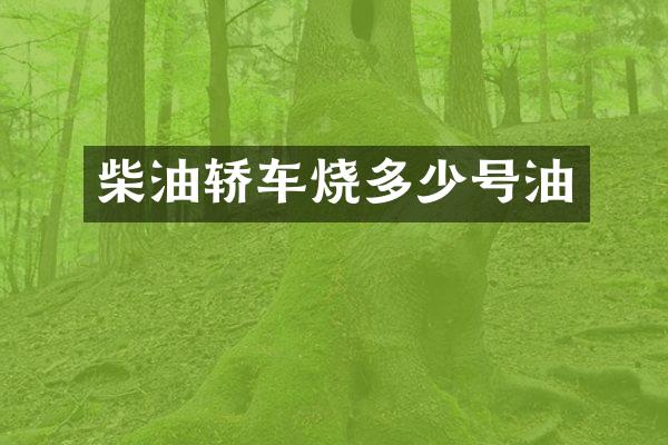 柴油轿车烧多少号油