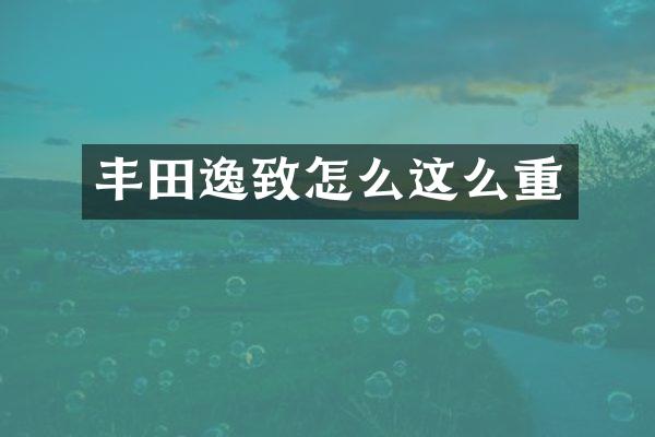 丰田逸致怎么这么重