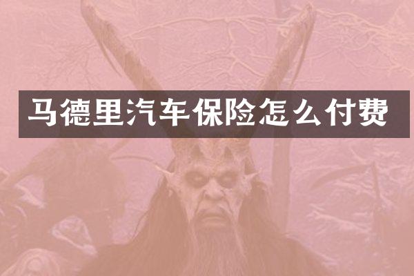 马德里汽车保险怎么付费