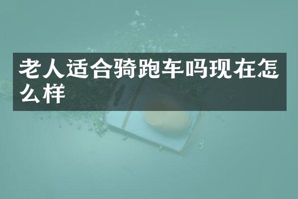 老人适合骑跑车吗现在怎么样