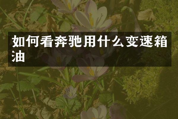 如何看奔驰用什么变速箱油