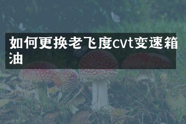 如何更换老飞度cvt变速箱油