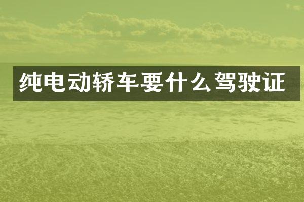 纯电动轿车要什么