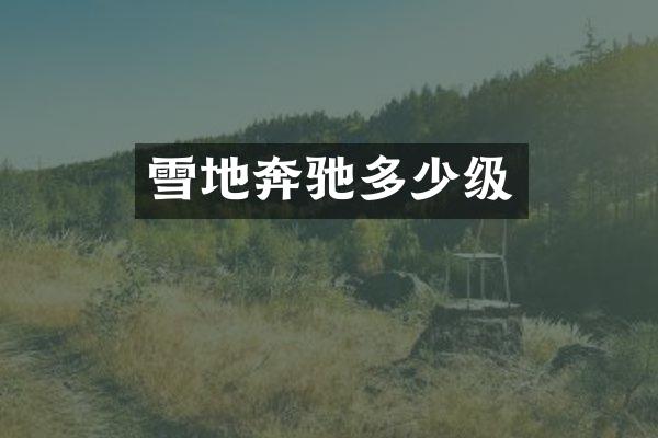 雪地奔驰多少级