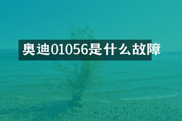 奥迪01056是什么故障